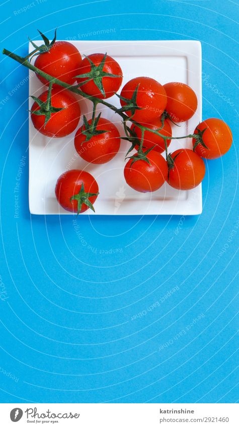 Kirschtomaten auf blauem Hintergrund Gemüse Vegetarische Ernährung Diät frisch hell oben rot Zutaten roh minimalistisch Textfreiraum Entwurf leer Lebensmittel