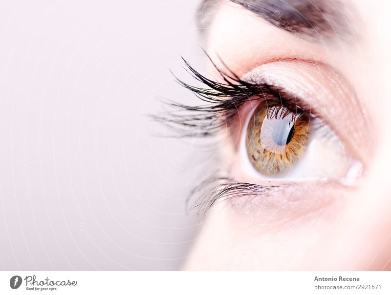 Nahaufnahme Auge Mensch Frau Erwachsene brünett hell lateinamerikanisch Menschen Regenbogenhaut Pupille Wimpern Augenbraue Sehvermögen Optik Licht