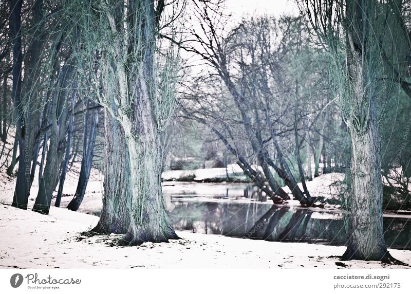beware of the monsters Landschaft Winter Schnee Baum Park Flussufer Aggression außergewöhnlich dunkel fantastisch gruselig kalt schwarz weiß träumen Traurigkeit