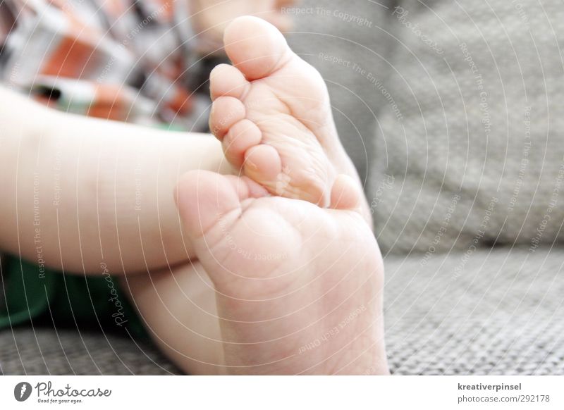 füßchen klein.. Baby Kleinkind Junge Beine Fuß 0-12 Monate sitzen nackt niedlich grau grün orange Sofa Spielen Farbfoto Innenaufnahme Blitzlichtaufnahme