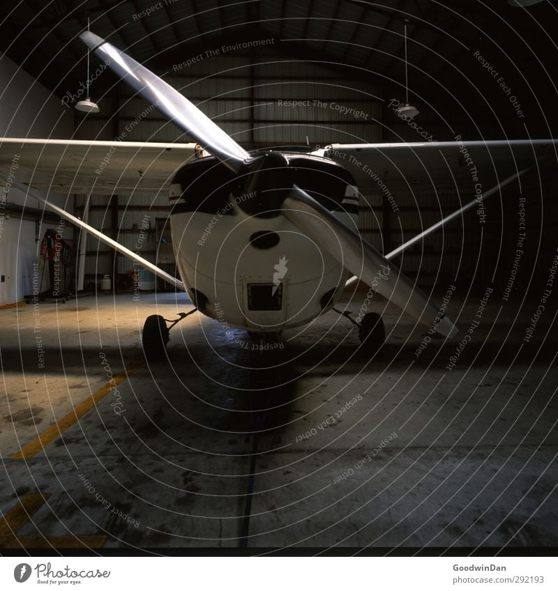 Ready? Industrieanlage Flughafen Gebäude Architektur Luftverkehr Flugzeug Propellerflugzeug alt außergewöhnlich bedrohlich dunkel historisch klein viele
