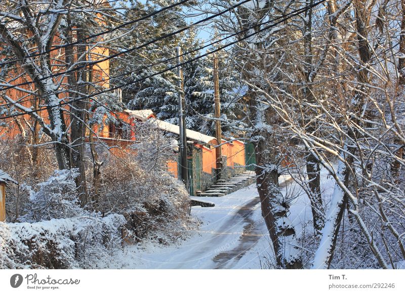 Bulgarien Umwelt Winter Schönes Wetter Eis Frost Schnee Baum Sträucher Sofia Stadtrand Haus Tourismus Farbfoto Außenaufnahme Menschenleer Dämmerung