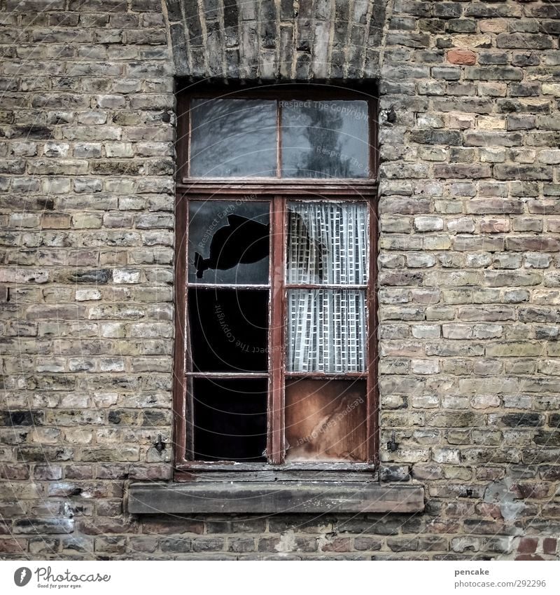 alte häuser | zugluft Kleinstadt Menschenleer Haus Mauer Wand Fenster Gefühle Stimmung Verfall Vergänglichkeit Wandel & Veränderung Reichtum Häusliches Leben