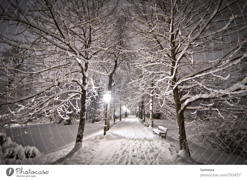 winterwandern Winter Schnee Schneefall Baum Park Graz Wege & Pfade frieren kalt braun grau weiß Parkbank Laterne Schneespur Schneelandschaft Schneedecke