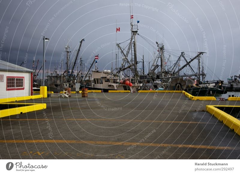 Fischerboote im Hafen von Steveston, British Columbia Meer Wolken Schifffahrt Wasserfahrzeug gelb ankern Anlegestelle Binnenhafen Fischereiwirtschaft