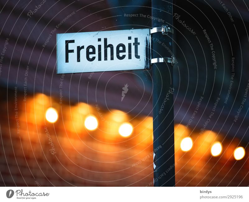 Freiheit ist keine Einbahnstraße Straßennamenschild Lichterkette Schriftzeichen leuchten authentisch außergewöhnlich frei einzigartig positiv grau orange