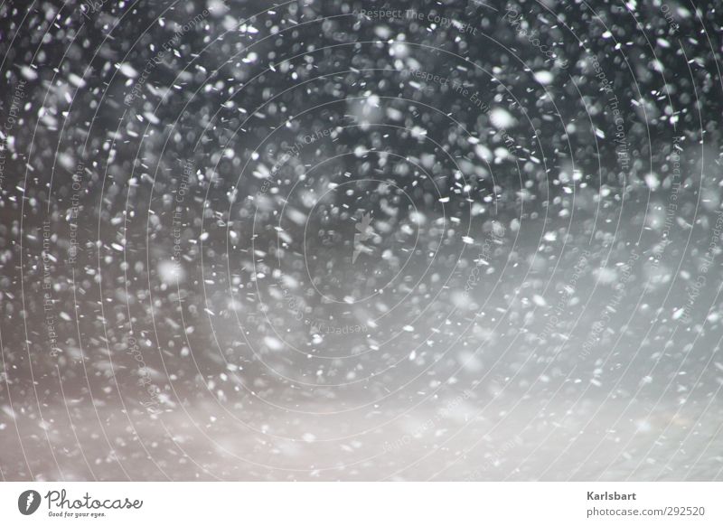 Schneenebel Winter Winterurlaub Umwelt Natur Wetter Sturm Nebel Schneefall Straße Wege & Pfade Wasser kalt Bewegung chaotisch Erholung erleben Irritation
