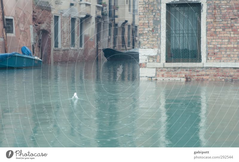 und der Regen Regen Regen fiel Venedig grau Wassermassen Kanal Überschwemmung Schwimmen & Baden Wasserfahrzeug nass kalt Farbfoto Gedeckte Farben Außenaufnahme