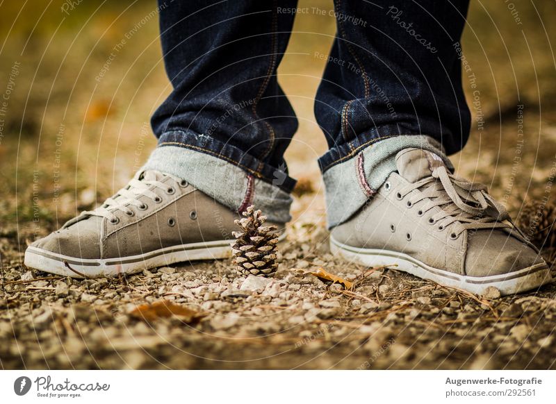 Moppel maskulin Erwachsene Fuß 1 Mensch 18-30 Jahre Jugendliche Zapfen Wald Hose Schuhe Turnschuh stehen Farbfoto Außenaufnahme Tag Kontrast