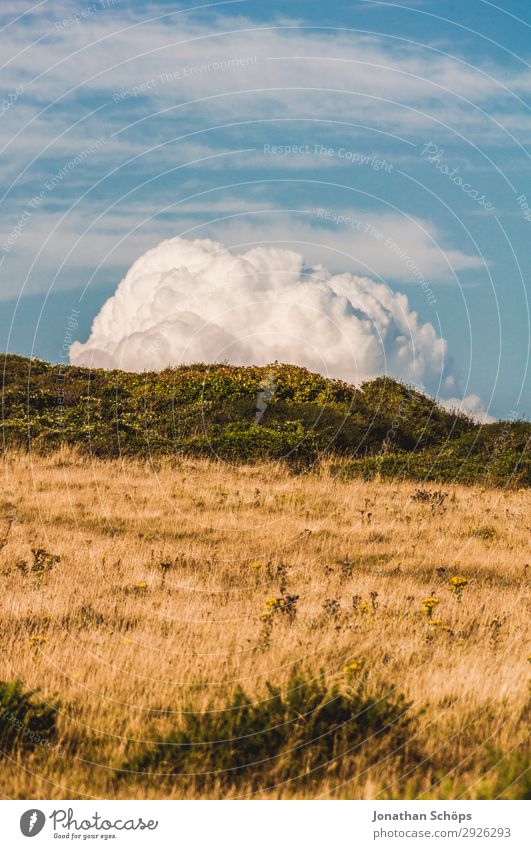 Feld mit Wolke in Sussex, Südengland, Großbritannien Umwelt Natur Landschaft Himmel Wolken Sommer Schönes Wetter Pflanze blau braun gelb Wolkenbild Wolkenberg