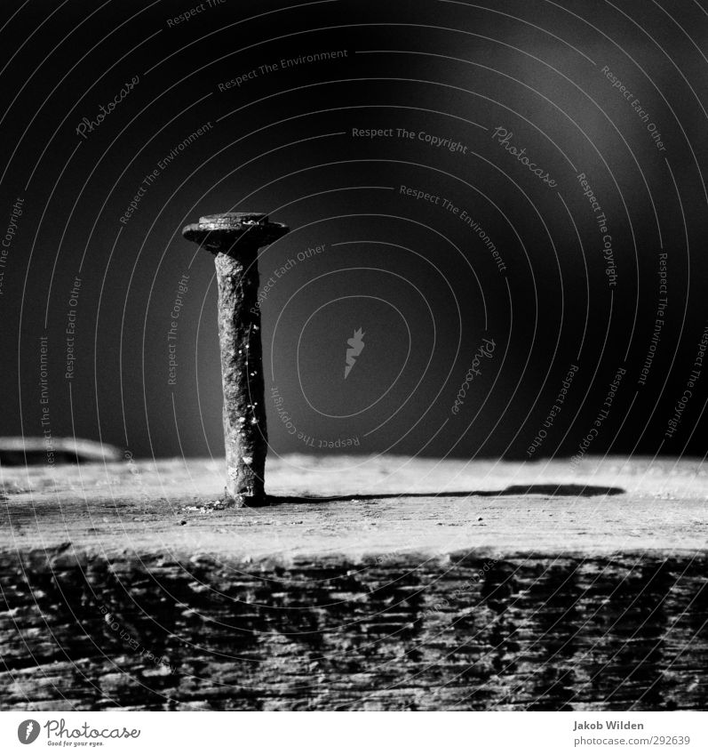 Rostiger Nagel Umwelt Natur Wasser Schönes Wetter Holz Metall trocken Stadt grau Schwarzweißfoto Außenaufnahme Experiment Muster Strukturen & Formen