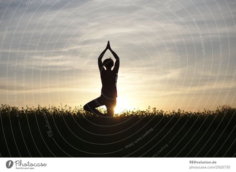 Yoga bei Sonnenuntergang Sport Fitness Sport-Training Mensch feminin Junge Frau Jugendliche 1 30-45 Jahre Erwachsene Umwelt Natur Landschaft Himmel