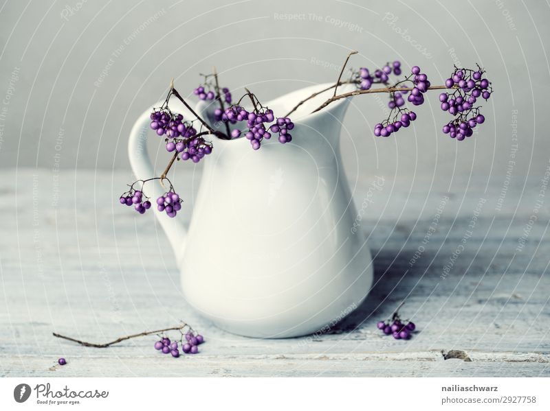 Stillleben Weiß&Lila Geschirr Becher Lifestyle elegant Pflanze Sträucher Ast Kannen Milchkanne Vase Glas ästhetisch authentisch einfach frisch kalt schön weich