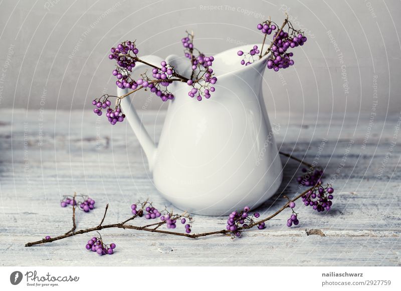 Stillleben Lila Beeren Vase Kannen Milchkanne authentisch Coolness elegant schön einzigartig natürlich grau violett weiß friedlich Kunst rein Farbfoto