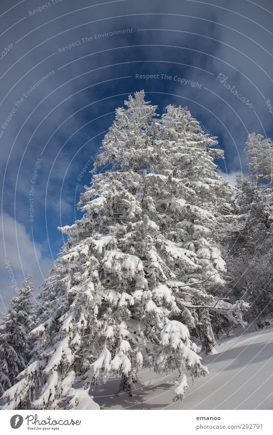 1000 üNN Ferien & Urlaub & Reisen Ausflug Winter Schnee Winterurlaub Berge u. Gebirge wandern Umwelt Natur Landschaft Himmel Klima Wetter Eis Frost Schneefall