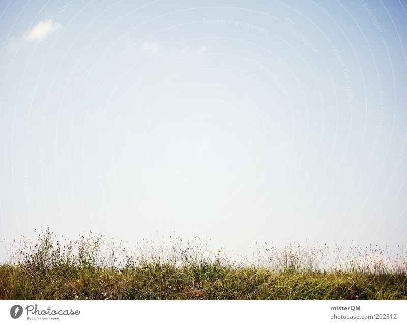 Über die Sache wachsen. Kunst ästhetisch Grasland Grasnarbe grasgrün Graswiese Grassteppe Himmel (Jenseits) Sommer Frühling Bodenbelag Erde Farbfoto