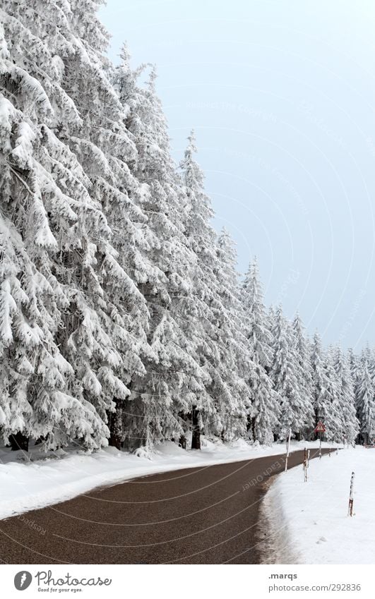 Landstrasse Ausflug Winterurlaub Umwelt Natur Landschaft Himmel Eis Frost Schnee Baum Wald Verkehrswege Straße Wege & Pfade Landstraße einfach kalt Tugend