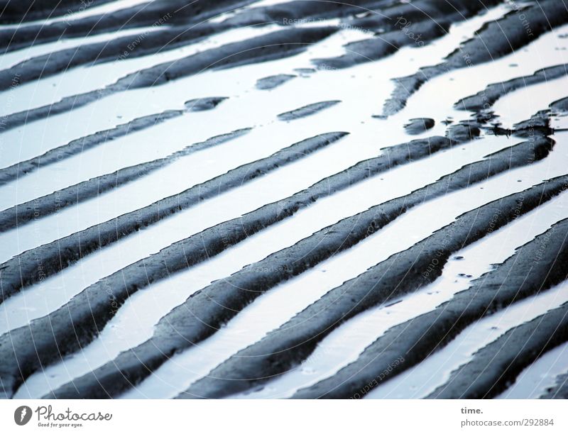 Lebenslinien #58 Umwelt Erde Sand Wasser Schönes Wetter Küste Bucht Wattenmeer authentisch Flüssigkeit nass blau schwarz silber Stimmung schön Vorsicht