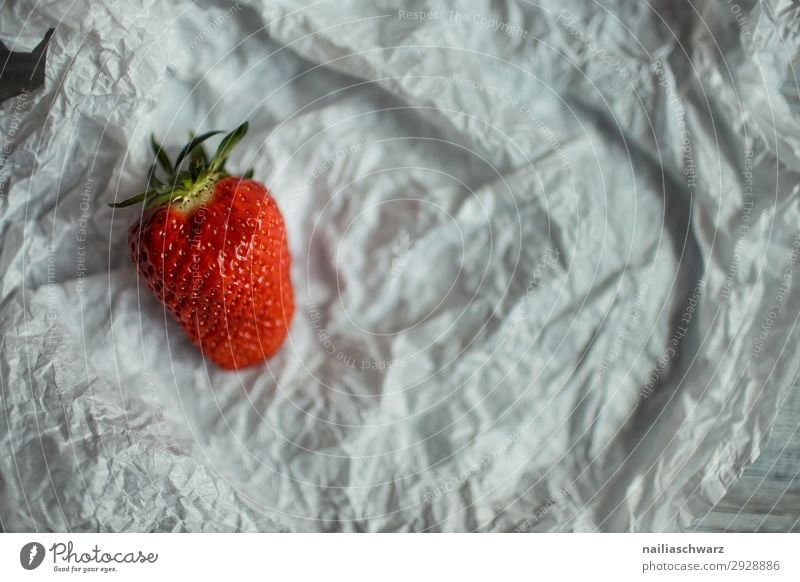 Frische Erdbeere Erdbeeren erdbeeren rot reif eine Single einfach vereinfacht Objekt Hintergrund Lebensmittel organisch Frucht geschmackvoll frisch Gesundheit
