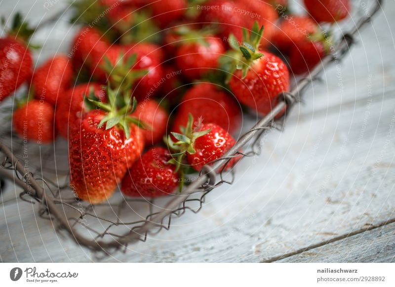 Frische Erdbeeren Lebensmittel Frucht Dessert Ernährung Bioprodukte Vegetarische Ernährung Sommer Drahtkorb Korb Holz Metall Duft frisch lecker retro saftig süß