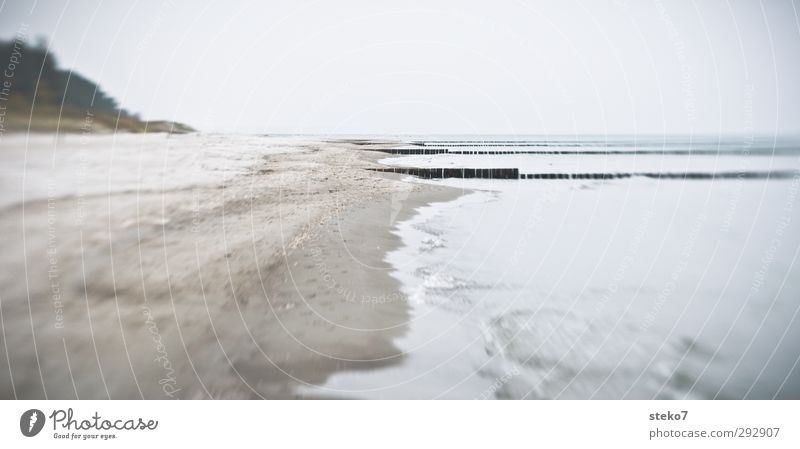 Winterstrand Wellen Küste Strand Ostsee Meer trist grau Einsamkeit ruhig Buhne Zingst Gedeckte Farben Außenaufnahme Menschenleer Textfreiraum rechts