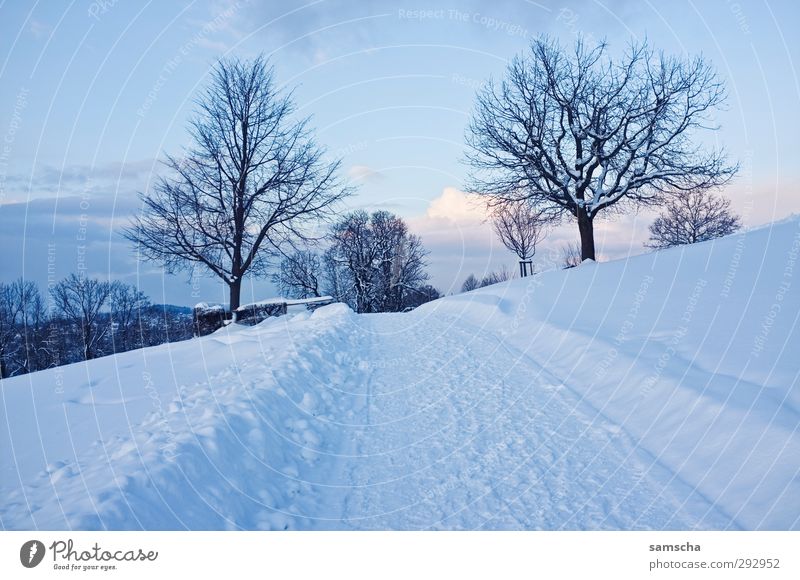 Winterspaziergang Ausflug Schnee Winterurlaub wandern Umwelt Natur Landschaft Himmel Klima Klimawandel Wetter Eis Frost Hügel frieren kalt natürlich Spazierweg
