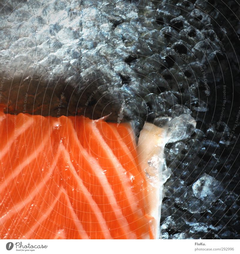 Sushi Factory Lebensmittel Fisch Ernährung Mittagessen Asiatische Küche Gesunde Ernährung Totes Tier orange rot Lachsfilet Schuppen Fischgericht schuppig Rest