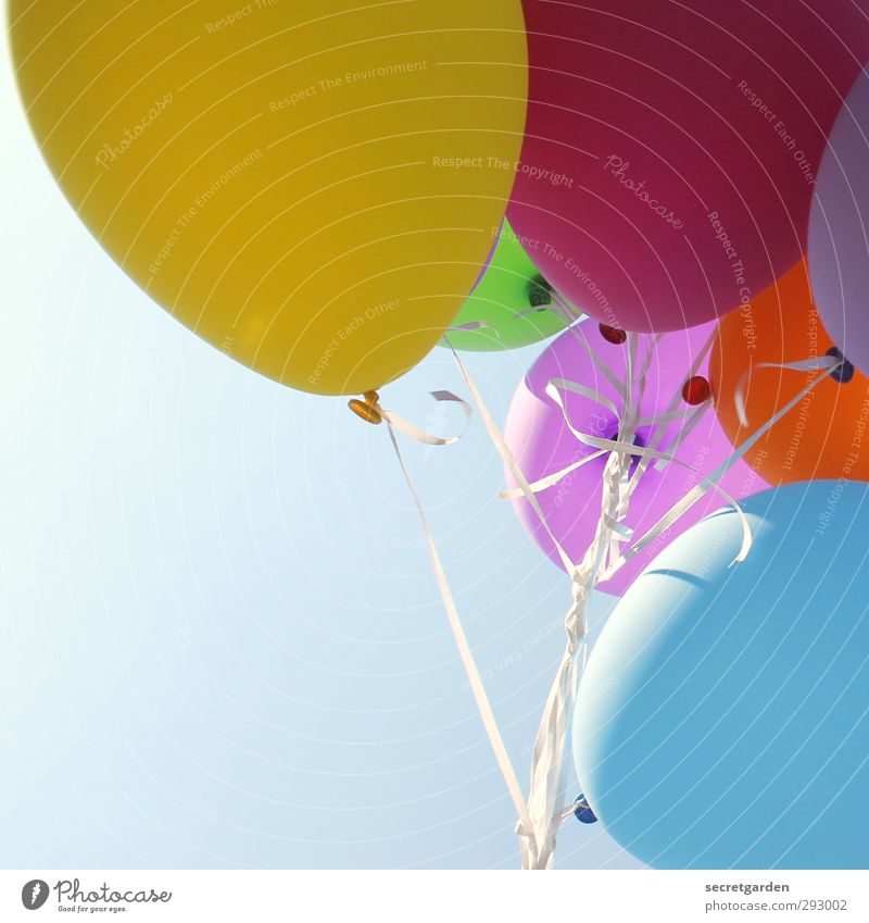 HOT LOVE | luftballonstrauss Freude Party Veranstaltung Feste & Feiern Karneval Jahrmarkt Hochzeit Geburtstag Wolkenloser Himmel Luftballon hell mehrfarbig