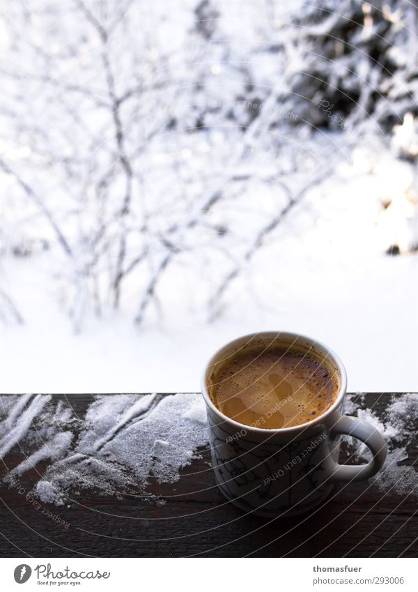 Etwas Warmes braucht der Mensch. Lebensmittel Heißgetränk Kaffee Tasse Ferien & Urlaub & Reisen Wohnung Garten Eis Frost Schnee Park Balkon Terrasse trinken