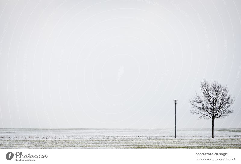 friends Umwelt Landschaft Pflanze Erde Himmel Horizont Winter Schnee Baum Feld Straßenbeleuchtung einfach frei Unendlichkeit kalt grau weiß friedlich