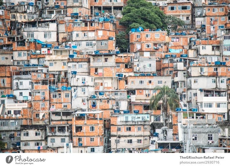 Favelas Stadt blau braun grün schwarz silber weiß Haus Bauwerk Armut Fenster Häusliches Leben Palme Brasilien Rio de Janeiro Außenaufnahme Textfreiraum unten