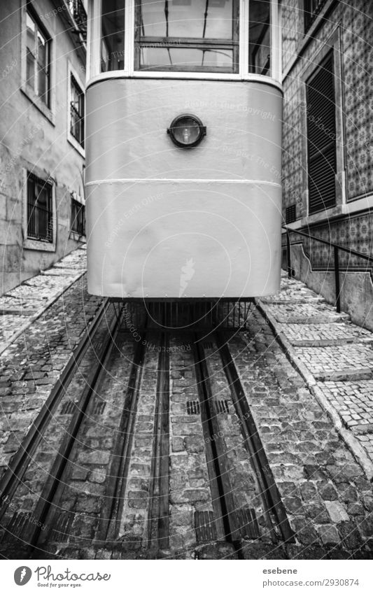 Typische Lissaboner Straßenbahn Ferien & Urlaub & Reisen Tourismus Sommer 18-30 Jahre Jugendliche Erwachsene Stadtzentrum Gebäude Architektur Verkehr Fahrzeug