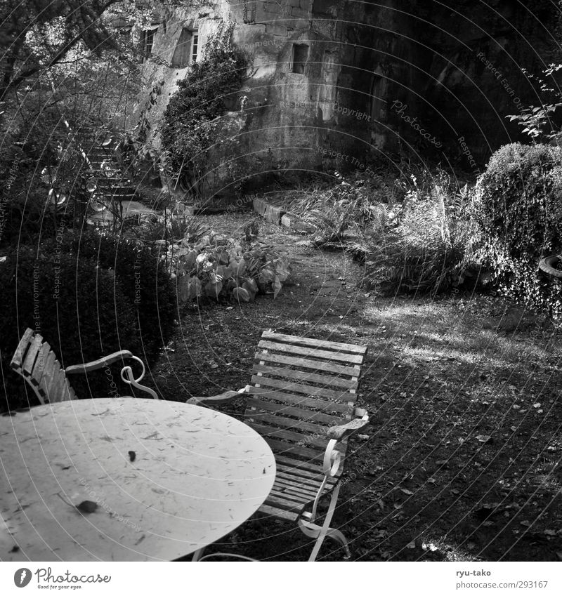 idyllisch Pflanze Tier Herbst Garten Erholung genießen Gelassenheit ruhig stagnierend Stimmung Tisch Kot leer Haus Schwarzweißfoto Außenaufnahme Menschenleer