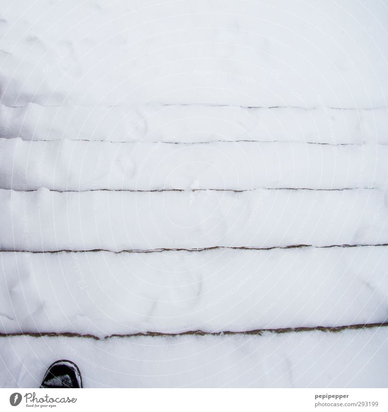 fuß-treppe-schnee maskulin Fuß 1 Mensch Winter Eis Frost Schnee Treppe Fußgänger Schuhe Streifen gehen Schwarzweißfoto Außenaufnahme Tag
