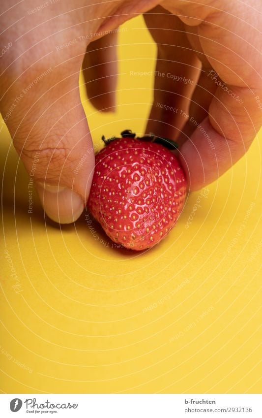vernaschen Lebensmittel Frucht Ernährung Bioprodukte Vegetarische Ernährung kaufen Gesundheit Gesunde Ernährung Finger wählen gebrauchen berühren Essen