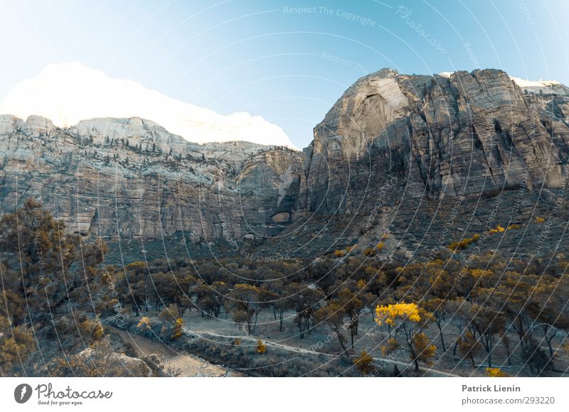 Zion National Park Umwelt Natur Landschaft Urelemente Klima Wetter Abenteuer Beginn ästhetisch Farbfoto Außenaufnahme Tag