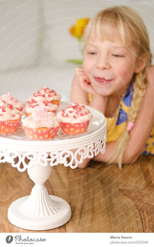 Cupcake-Diebin Lebensmittel Teigwaren Backwaren Kuchen Dessert Süßwaren Essen Häusliches Leben Wohnung Tisch Wohnzimmer feminin Kind Mädchen Kindheit 1 Mensch