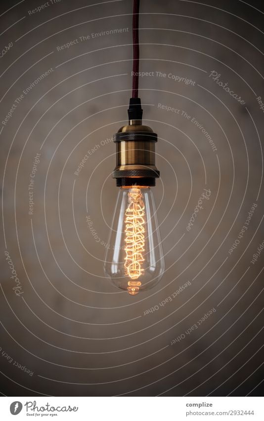 Vintage Edison Glühbirne Lifestyle Häusliches Leben Wohnung Renovieren Umzug (Wohnungswechsel) einrichten Innenarchitektur Dekoration & Verzierung Lampe Raum