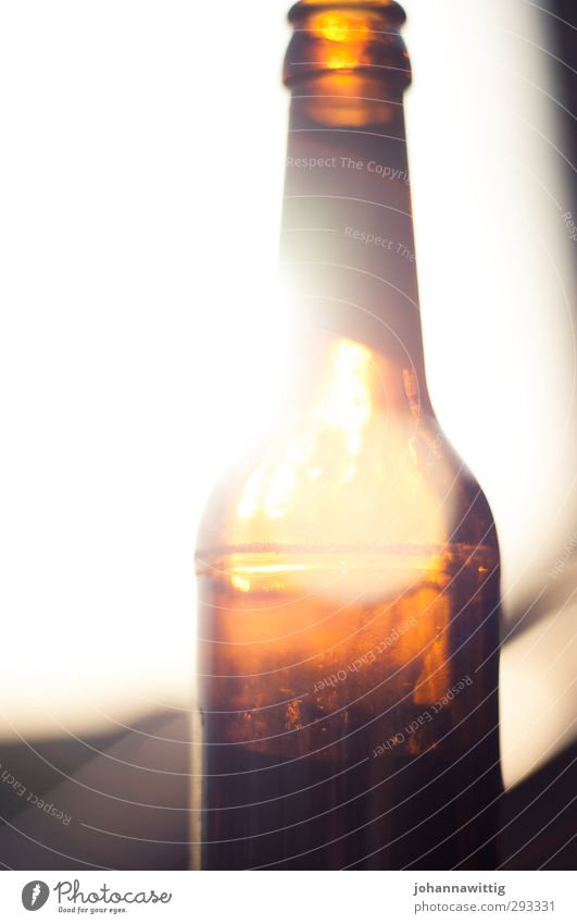 weil das licht so leicht zerbricht.. Bier Flasche Lifestyle Freude Glück Feste & Feiern trinken Lebensfreude Genusssucht Erholung erleben