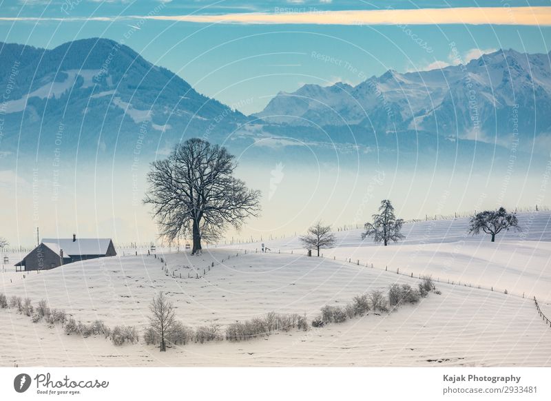 Winterlandschaft in der Schweiz Umwelt Natur Landschaft Luft Himmel Wolken Horizont Schönes Wetter Nebel Baum Sträucher Berge u. Gebirge Alpen Alpenvorland Dorf