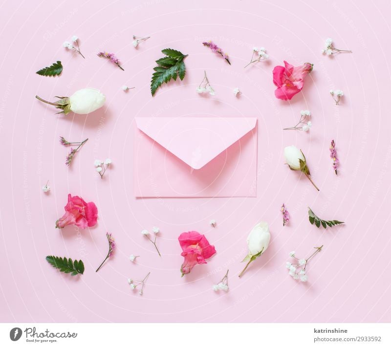 Blumen und Umschlag auf einem hellrosa Hintergrund Design Dekoration & Verzierung Hochzeit Frau Erwachsene Mutter Rose oben Kreativität romantisch Kuvert Brief