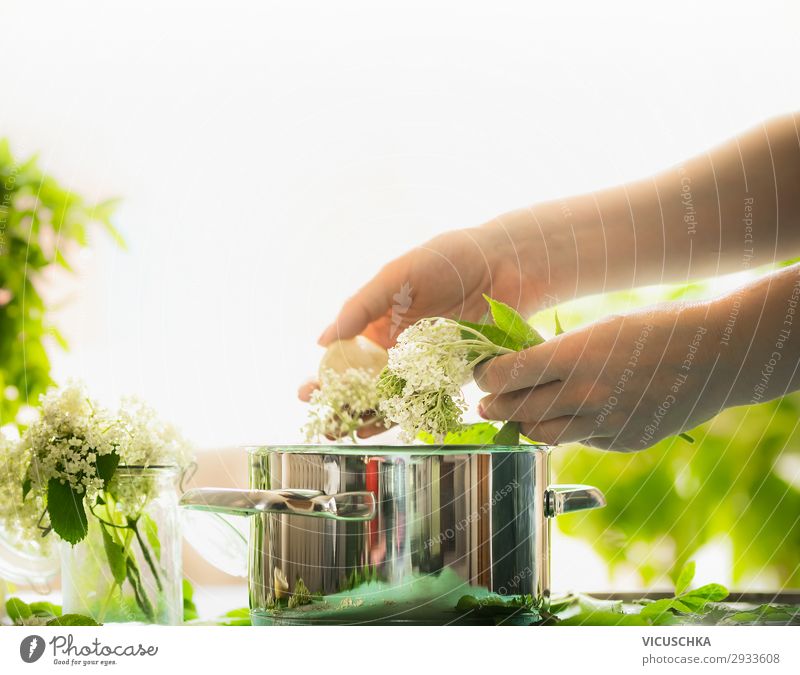 Frauenhänden zubereiten Holunderblüten Lebensmittel Topf Stil Design Gesunde Ernährung Sommer Tisch Küche Mensch feminin Erwachsene Hand Natur Wildpflanze gelb