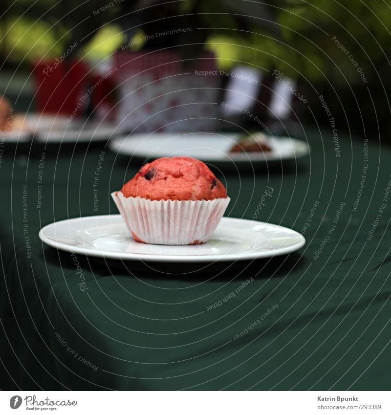 plate cake Lebensmittel Kuchen Muffin Kaffeetrinken Büffet Brunch Feste & Feiern Geburtstag lecker Farbfoto Außenaufnahme Textfreiraum unten