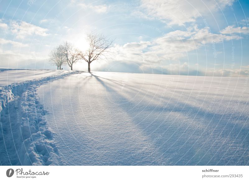 Mit Eau de Javel gewaschen Umwelt Natur Landschaft Himmel Wolken Sonne Sonnenlicht Winter Schönes Wetter Eis Frost Schnee Baum Hügel Berge u. Gebirge Gipfel