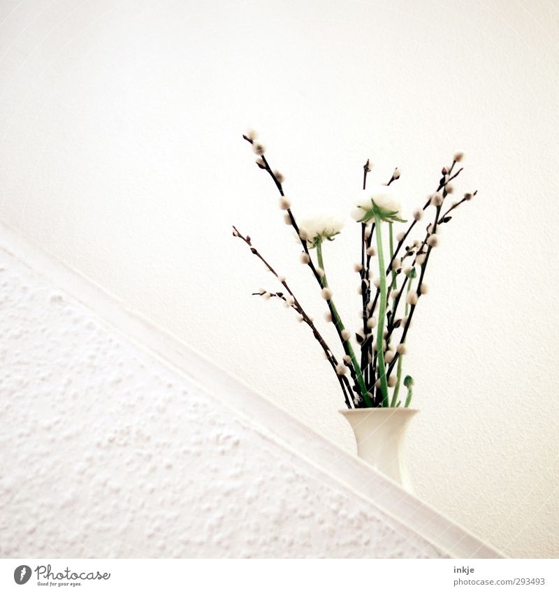 Frühling. Tendenz steigend. Häusliches Leben Dekoration & Verzierung Tapete Blüte Weidenkätzchen Ranunkel Trollblume Blumenstrauß Mauer Wand Treppe Vase Neigung
