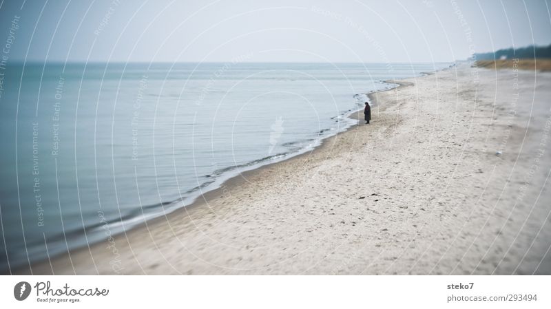 strand-alone Mensch Weiblicher Senior Frau 1 Winter Küste Strand Ostsee beobachten stehen warten Einsamkeit Erholung Winterspaziergang Gedeckte Farben