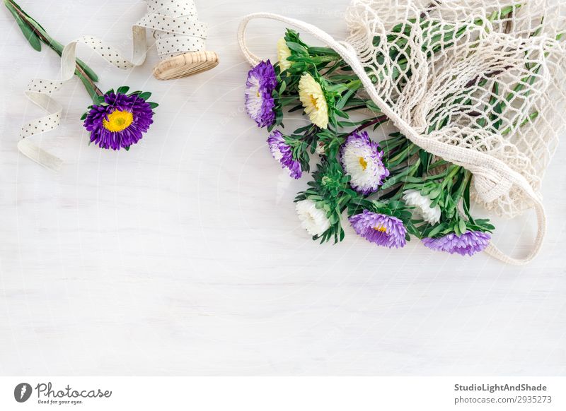 Astern in einer Netzbeutel auf weißem Holzgrund Lebensmittel kaufen Design Freude schön Sommer Garten Dekoration & Verzierung Gartenarbeit Natur Pflanze Blume