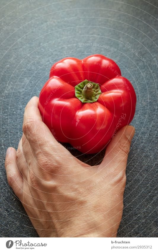 Hier ist ein roter Paprika Lebensmittel Gemüse Ernährung Bioprodukte Vegetarische Ernährung Gesunde Ernährung Koch Küche Hand Finger Arbeit & Erwerbstätigkeit