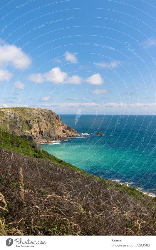 Cornwall Umwelt Natur Landschaft Pflanze Urelemente Wasser Himmel Wolken Sonnenlicht Sommer Schönes Wetter Wärme Sträucher Moos Felsen Küste Bucht Meer Insel