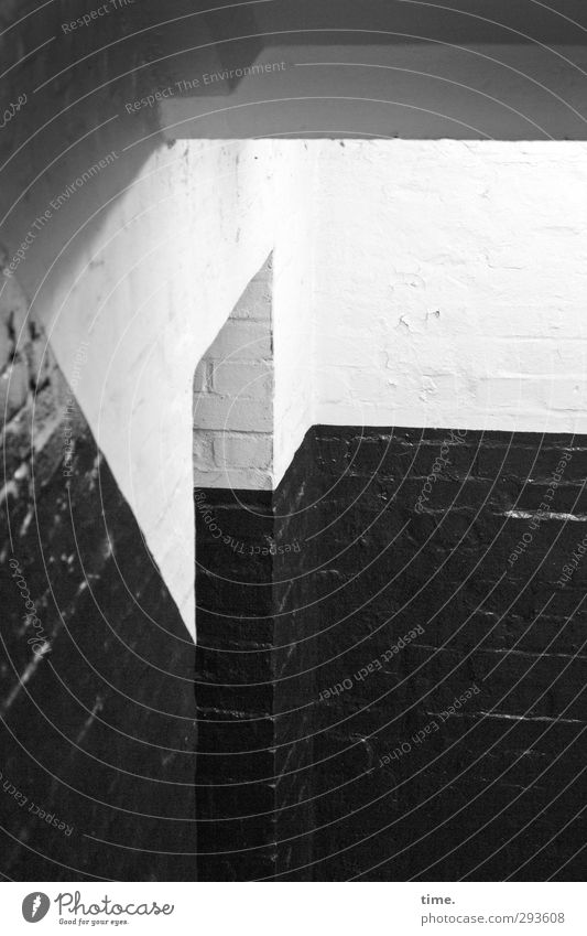 downstairs Innenarchitektur Keller Kellergewölbe Kellerwand Kellertür glänzend gruselig historisch Neugier unten Stadt grau schwarz weiß Platzangst entdecken